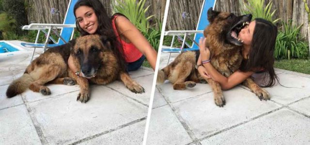 Intentó hacerse selfie con su perro, le mordió el rostro