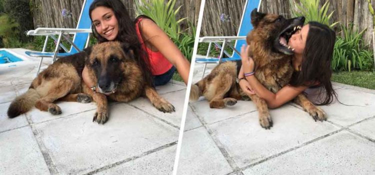 Intentó hacerse selfie con su perro, le mordió el rostro