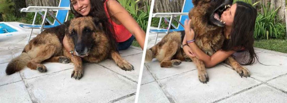 Intentó hacerse selfie con su perro, le mordió el rostro