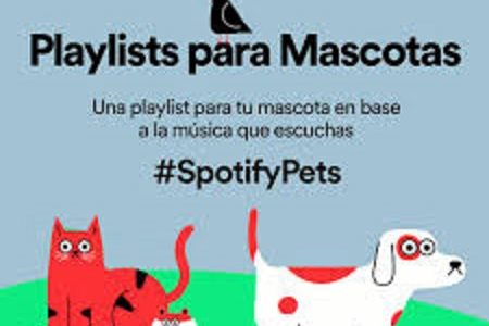 Spoty estrena su playlist para mascotas que se quedan solas en casa