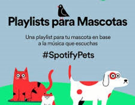 Spoty estrena su playlist para mascotas que se quedan solas en casa