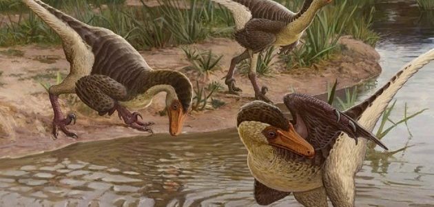 Hallan restos de dinosaurio emplumado, de los últimos en la Tierra