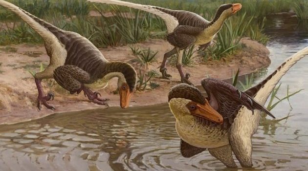 Hallan restos de dinosaurio emplumado, de los últimos en la Tierra