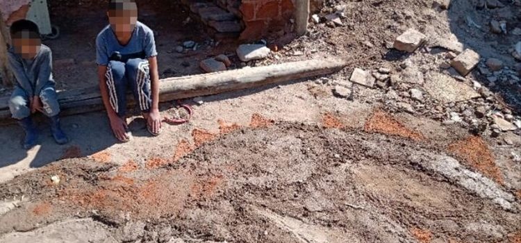 La maestra pidió una tarea de Arte “con lo que tengan en casa” e hizo un enorme dinosaurio