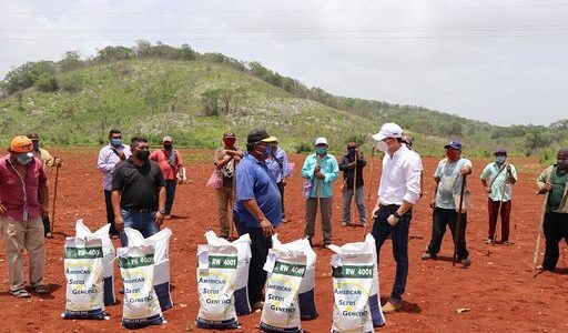 Pequeños productores agrícolas siguen recibiendo semillas y fertilizantes para sembrar sus tierras