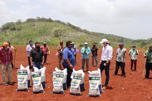 Pequeños productores agrícolas siguen recibiendo semillas y fertilizantes para sembrar sus tierras