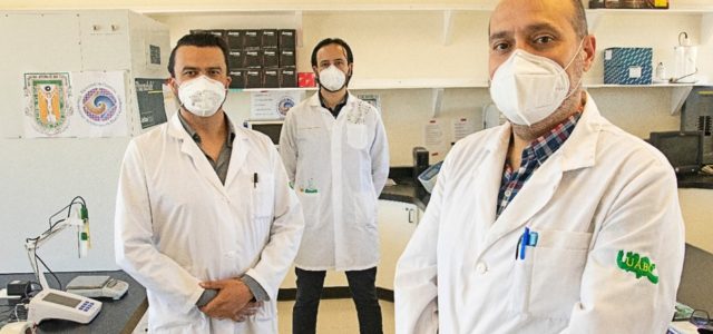 Investigadores mexicanos diseñan vacuna de ADN contra covid-19
