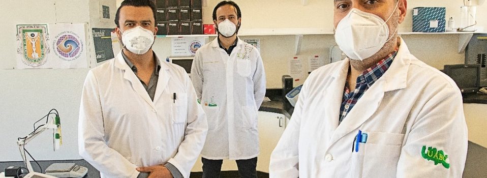 Investigadores mexicanos diseñan vacuna de ADN contra covid-19