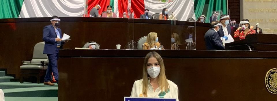 Asegura Cecilia Patrón que a Yucatán le irá bien con el Tratado de Libre Comercio