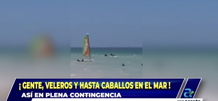 Sin temor al semáforo rojo, se meten al mar de Progreso