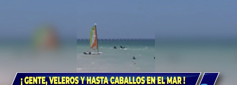 Sin temor al semáforo rojo, se meten al mar de Progreso
