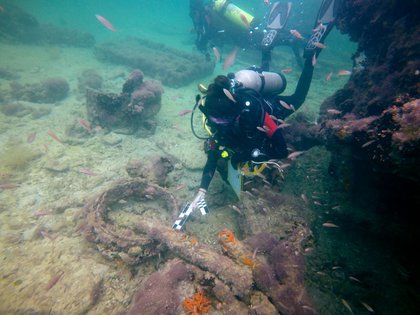 Barco hallado en Sisal era para el tráfico de esclavos mayas: INAH