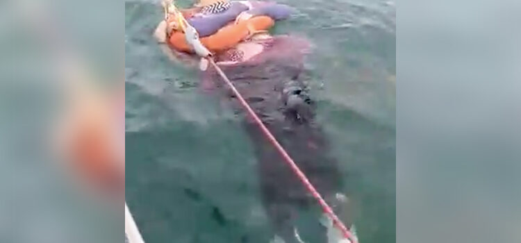 Rescatan a mujer flotando en el mar; fue reportada desaparecida hace 2 años