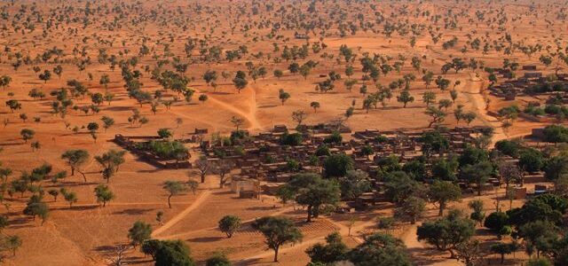 Descubren Millones de árboles en el Sahara