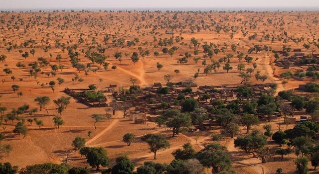 Descubren Millones de árboles en el Sahara