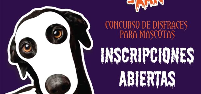 Disfraza a tu mascota e inscríbelo en el Hanal Peek Xan virtual