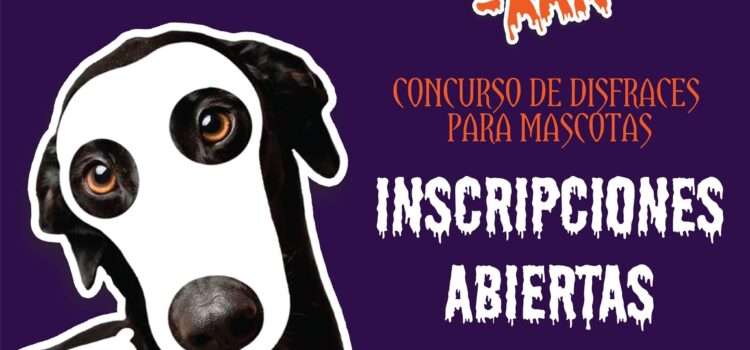Disfraza a tu mascota e inscríbelo en el Hanal Peek Xan virtual