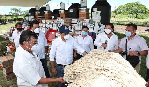 Productores yucatecos respaldados por el Gobierno del Estado, les entregan apoyos de “Peso a Peso”