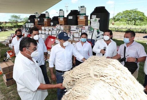 Productores yucatecos respaldados por el Gobierno del Estado, les entregan apoyos de “Peso a Peso”