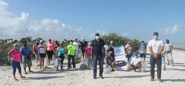 Empresarios del sector pesquero limpian playas en Progreso